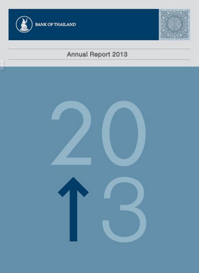 annual report 2013
